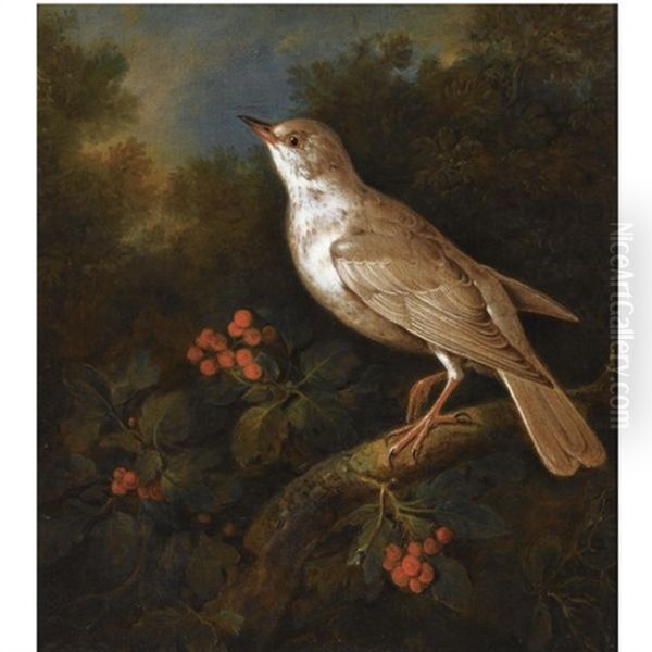 A Songbird On A Branch In A Wooded Landscape, Near A Currant Bush by Philipp Ferdinand de Hamilton