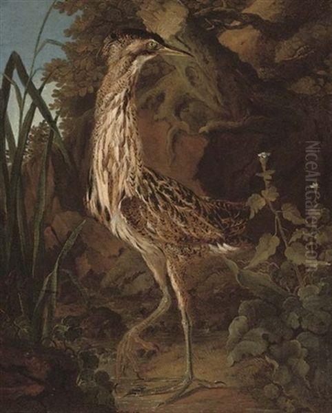 A Bittern On The Bank Of A River Oil Painting by Philipp Ferdinand de Hamilton