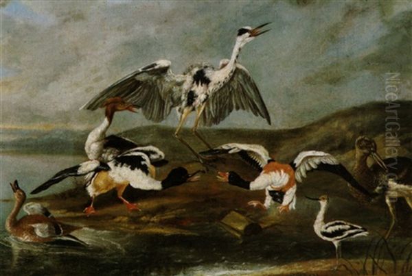 Ein Reiher, Enten Und Andere Wasservogel Am Ufer Eines Sees Oil Painting by Philipp Ferdinand de Hamilton