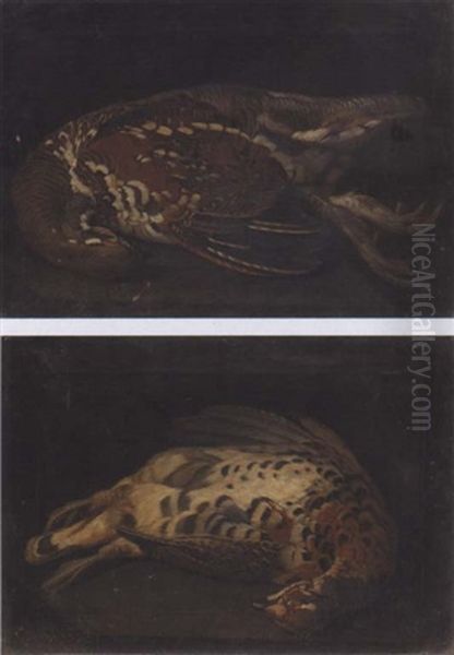 Study Of Grouse Oil Painting by Philipp Ferdinand de Hamilton