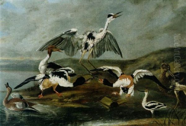 Ein Reiher, Enten Und Andere Wasservogel Am Ufer Eines Sees Oil Painting by Philipp Ferdinand de Hamilton