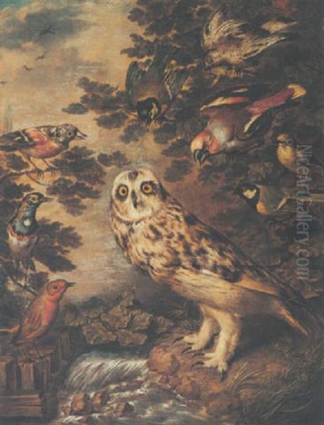 An Owl Mocked By Other Birds Oil Painting by Philipp Ferdinand de Hamilton