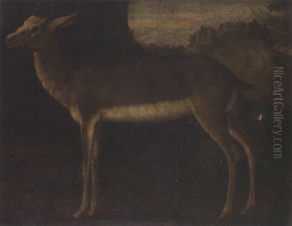 A Hind Oil Painting by Philipp Ferdinand de Hamilton