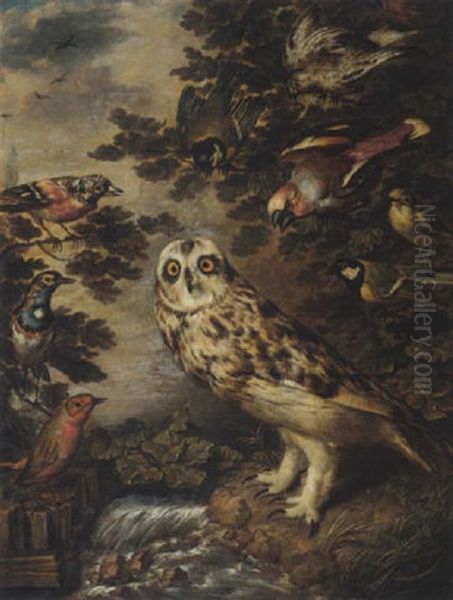 An Owl Mocked By Other Birds Oil Painting by Philipp Ferdinand de Hamilton