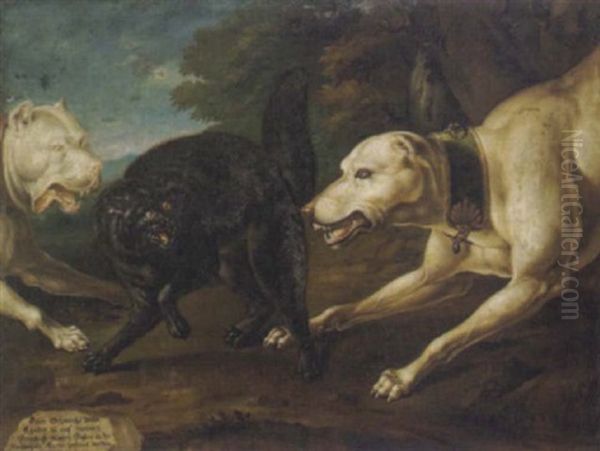 Zwei Hunde Jagen Einen Wilden, Schwarzen Kater Oil Painting by Philipp Ferdinand de Hamilton