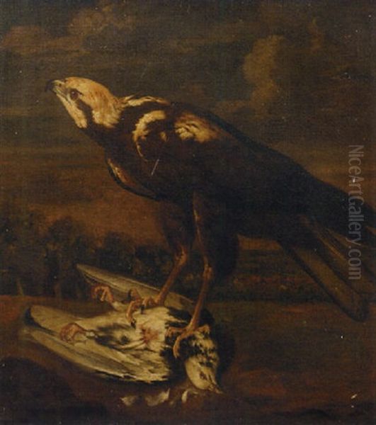 A Falcon With A Dead Pigeon Oil Painting by Philipp Ferdinand de Hamilton