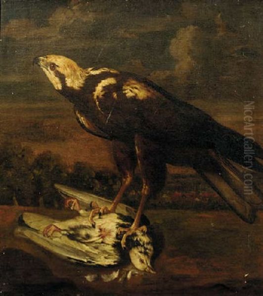 A Falcon With A Dead Pigeon Oil Painting by Philipp Ferdinand de Hamilton