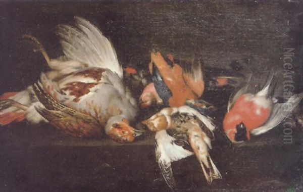 A Still Life Of A Dead Partridge, Bullfinch, Kingfisher And Other Birds On A Stone Ledge Oil Painting by Philipp Ferdinand de Hamilton