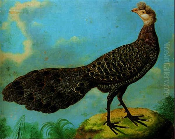 A Grey Peacock Pheasant Oil Painting by Philipp Ferdinand de Hamilton