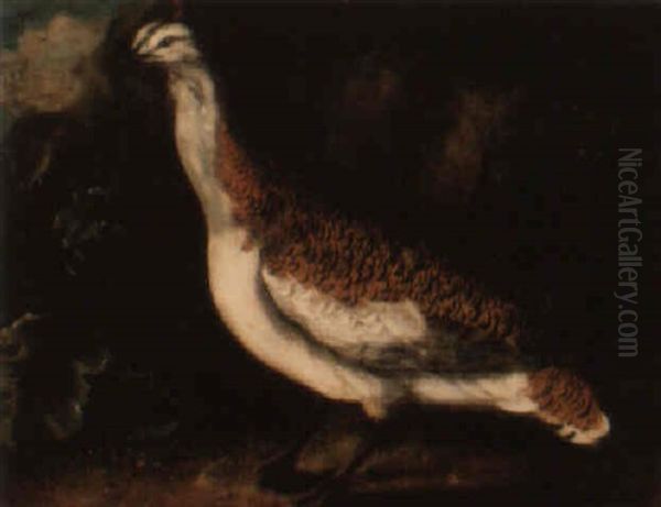 A Great Bustard Oil Painting by Philipp Ferdinand de Hamilton