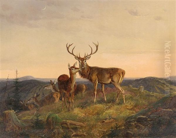 Hirsch Mit Hirschkuhen Auf Einer Anhohe In Mittelgebirgslandschaft Oil Painting by Edmund Guido Hammer