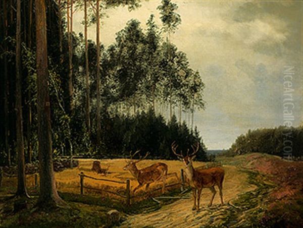 Hirsche Brechen In Ein Weizenfeld Ein Oil Painting by Edmund Guido Hammer