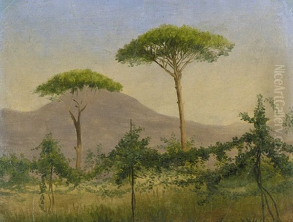 Aussicht Von Weinbergen Auf Den Vesuv Oil Painting by Hans Jorgen Hammer