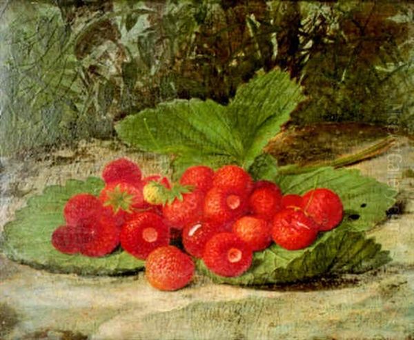 Strawberries Oil Painting by William Hammer