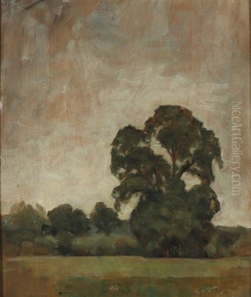 Landscape Near Naer Oxford Oil Painting by Svend Hammershoi