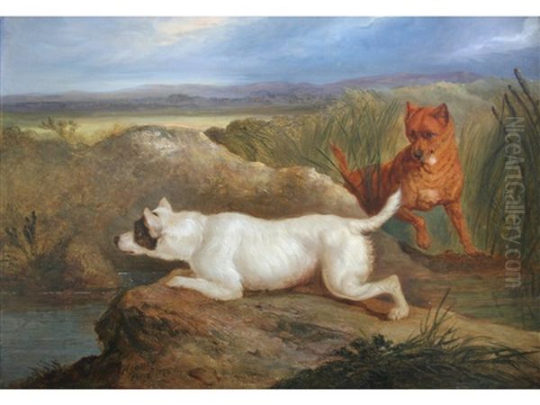 Two Terriers Oil Painting by Charles Hancock