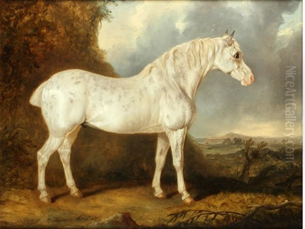 Grey Horse Before An Open Vista Oil Painting by Charles Hancock