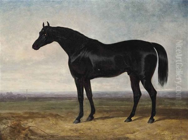 A Favourite Hunter Oil Painting by Charles Hancock