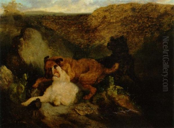 Hunde I Kamp Om Byttet Oil Painting by Charles Hancock