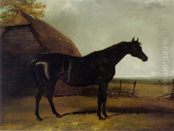 Lottery, A Black Racehorse In A Landscape Oil Painting by Charles Hancock