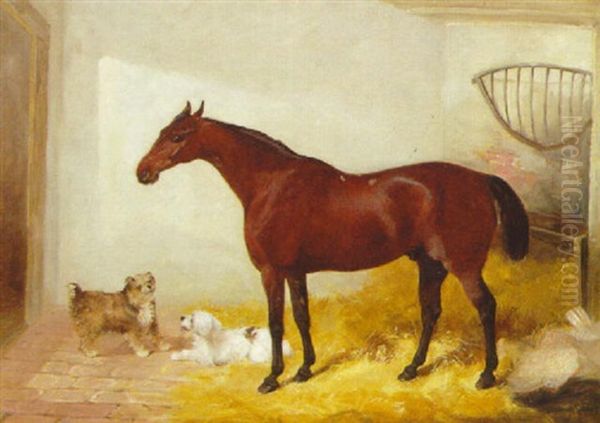 A Bay Hunter With Two Terriers In A Loose Box Oil Painting by Charles Hancock