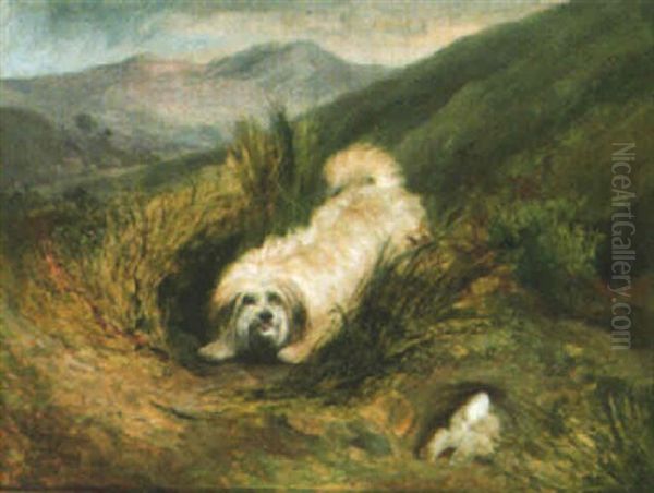 A Terrier Chasing A Rabbit In A Landscape Oil Painting by Charles Hancock