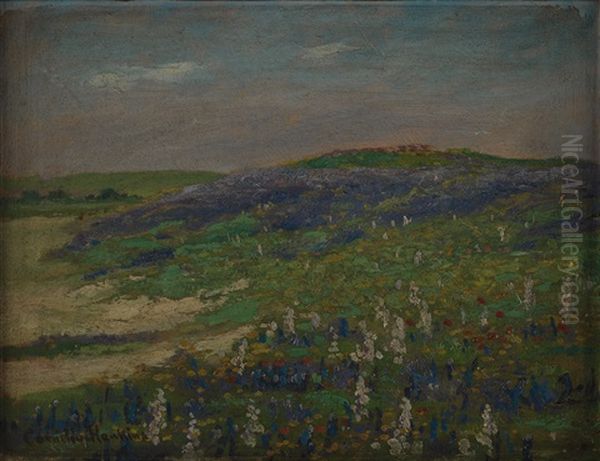 Flowering Field Oil Painting by Cornelius H. Hankins