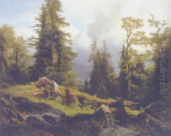 Waldinneres Oil Painting by Anton Hansch