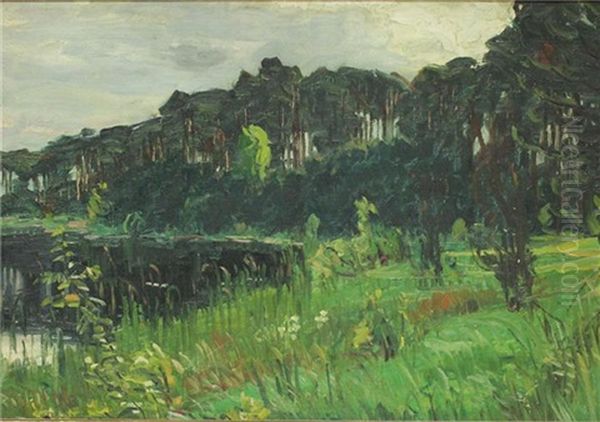 Markische Waldlandschaft Mit Schildbewachsenem Seeufer Oil Painting by Johannes Haensch