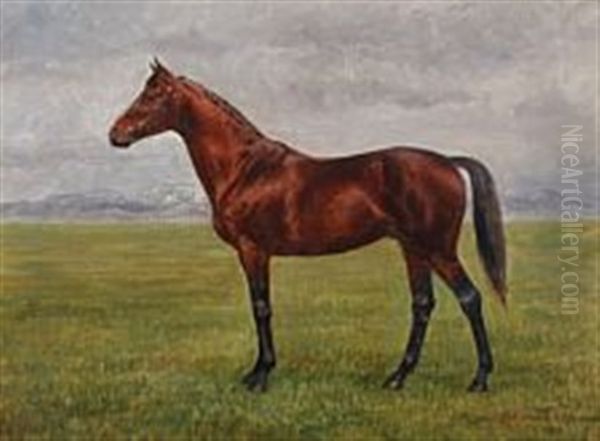 A Horse In A Field Oil Painting by Adolf Heinrich Claus Hansen