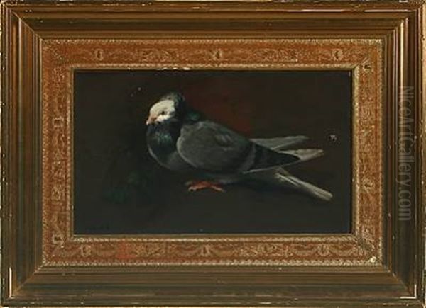 A Pigeon Oil Painting by Adolf Heinrich Claus Hansen