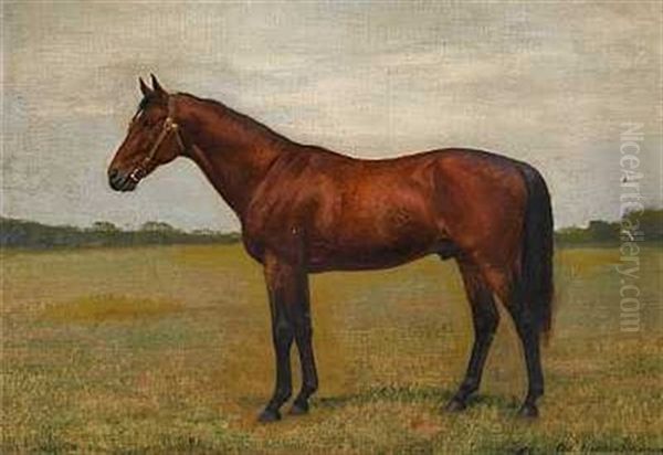 Hest Pa En Mark Oil Painting by Adolf Heinrich Claus Hansen