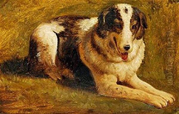 En Hyrdehund Fra Paestum Oil Painting by Constantin (Carl Christian Constantin) Hansen