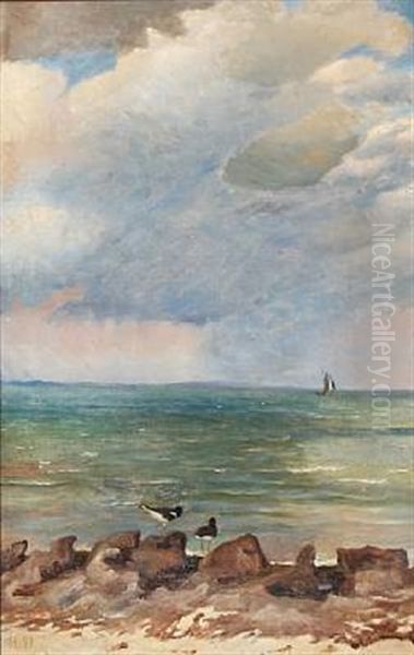 Beach Scene With Birds Oil Painting by Elise Konstantin Hansen