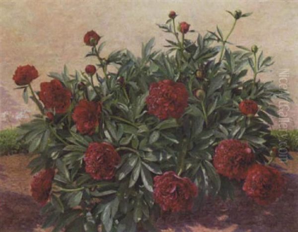 Blomstrende Paeoner Oil Painting by Hans Andersen Hansen