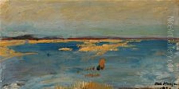 Coastalscape From The Danish Isle Tasinge Oil Painting by Niels Hansen