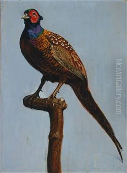 Pheasant Oil Painting by Peter Marius Hansen