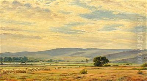 Landscape With Grazing Sheep Oil Painting by Sigvard Marius Hansen