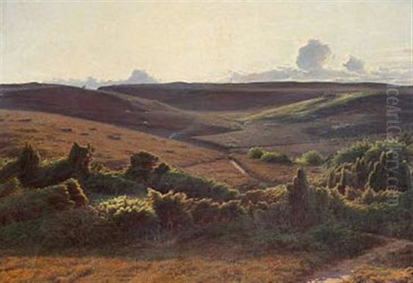 View Of A Moor Landscape In The Afternoon Oil Painting by Sigvard Marius Hansen