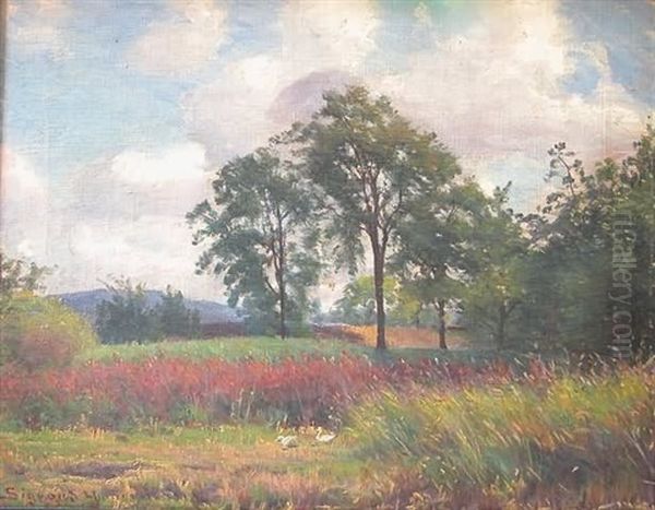 Landscape With Meadow And Ducks, Trees In Background, Hills In Far Distance Oil Painting by Sigvard Marius Hansen