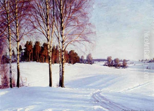 Birke, Aftensol Oil Painting by Sigvard Marius Hansen