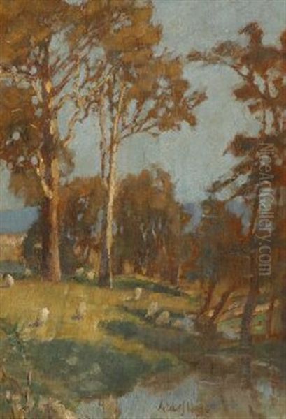 Bluegums With View Of A Pool Oil Painting by Albert J. Hanson