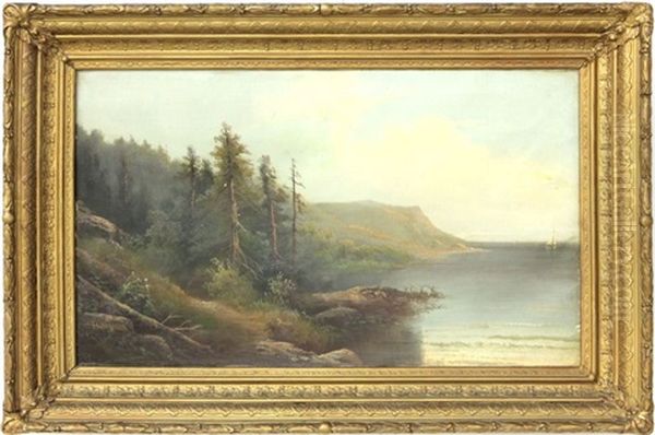 Lake View Oil Painting by Peter Hanson