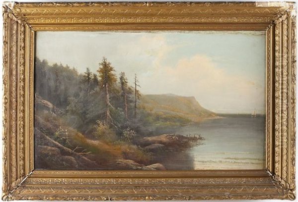 Lake View Oil Painting by Peter Hanson