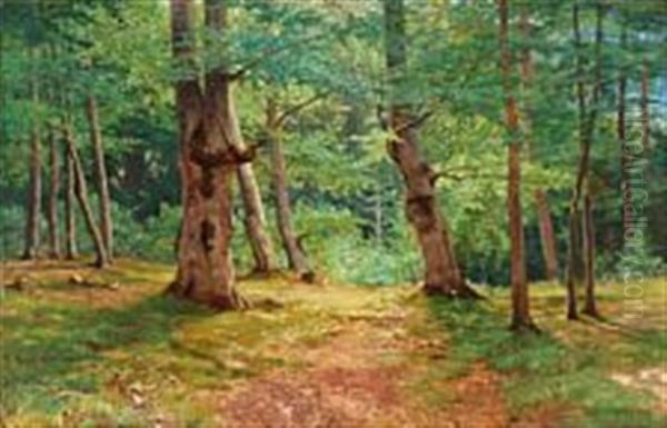 A Danish Beech Wood Forest Oil Painting by Nils Severin Lynge Hansteen