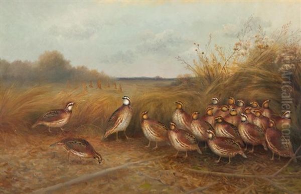 Bevy Of Beauties Oil Painting by Gerard Rutgers Hardenbergh