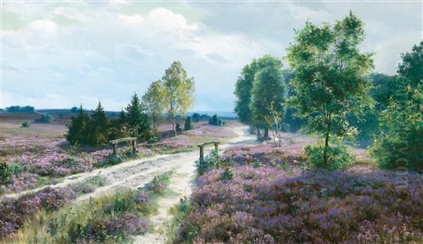 Open Heathland In Blossom Oil Painting by Johannes Harders