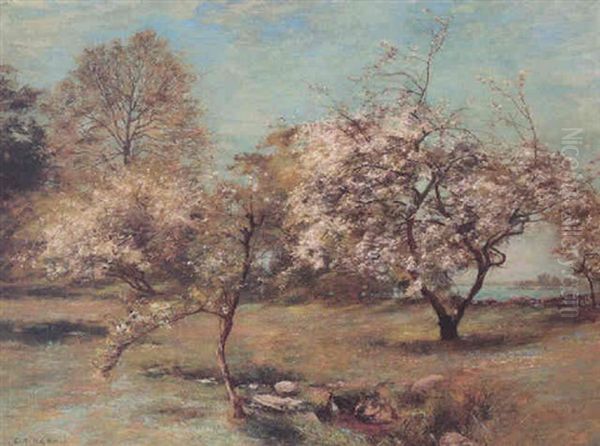 Blossom Oil Painting by Charles Martin Hardie