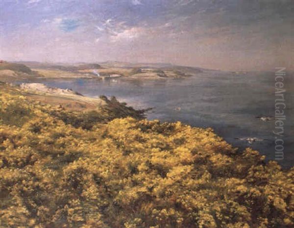 Summer On The Firth Of Forth Oil Painting by Charles Martin Hardie