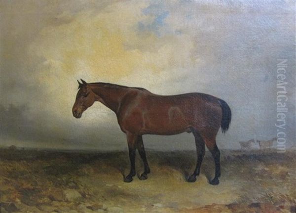 A Bay Hunter On A Moor Oil Painting by James Hardy Jr.